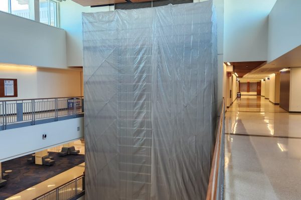 Reitz Union Gator Wall6